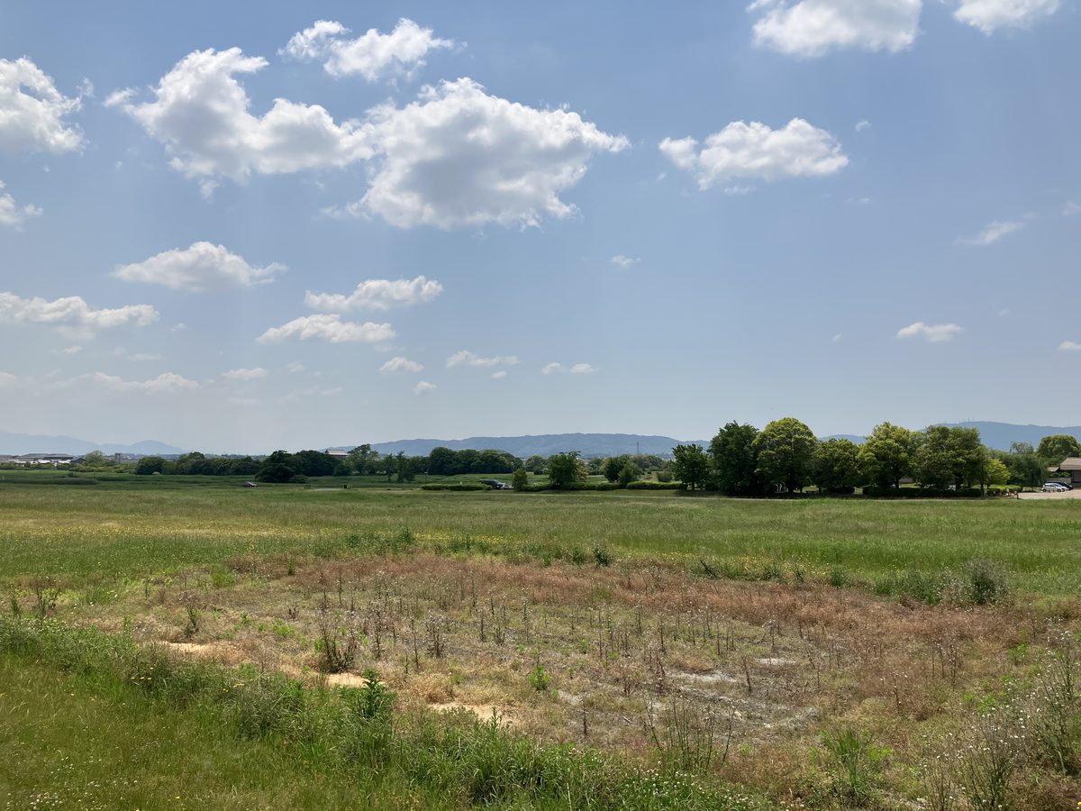 The vast grounds of Heijo Palace Site visible ahead to the left