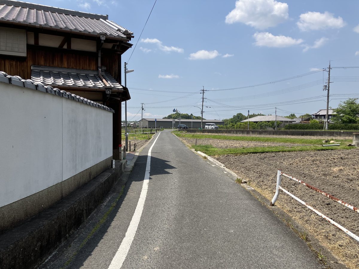 A narrow road between rice fields and houses