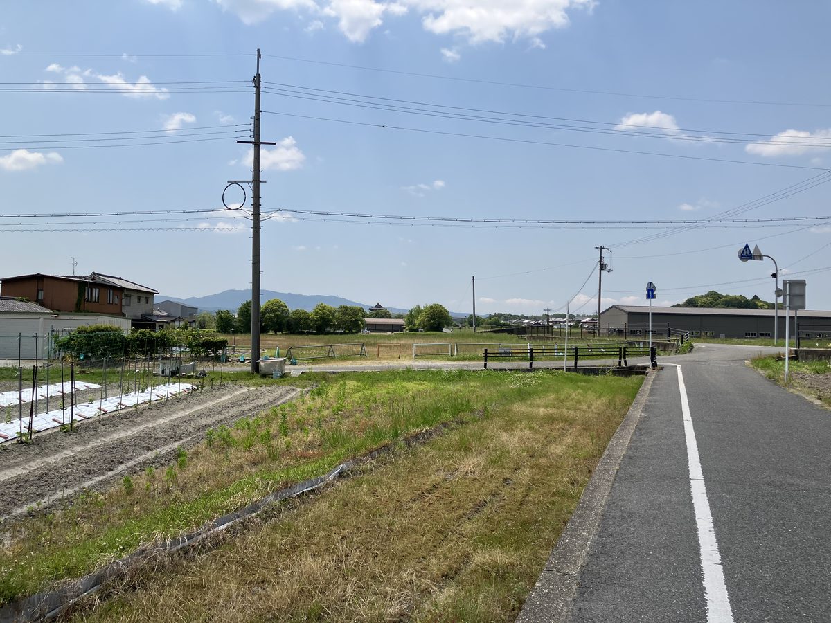 The reconstructed facilities of Heijo Palace Site visible in the distance
