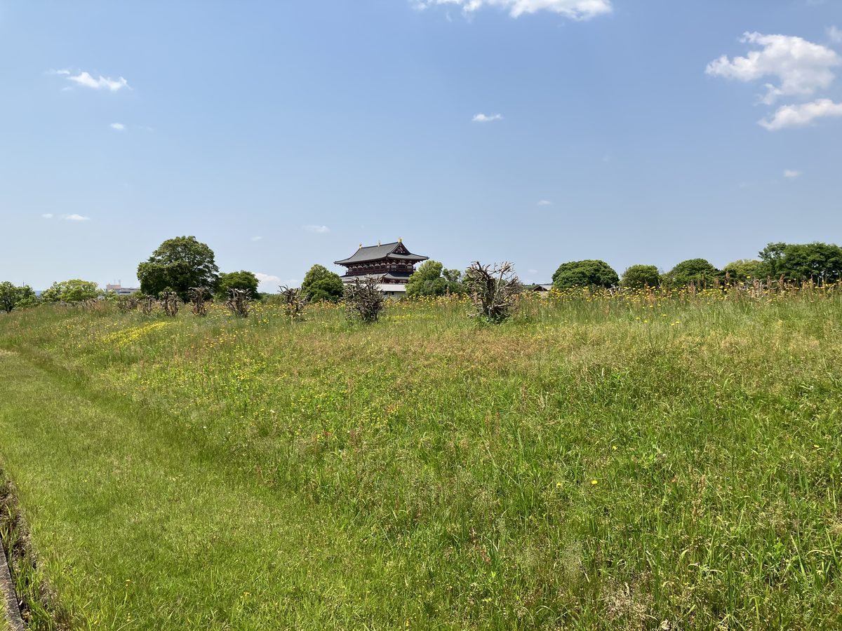 Heijo Palace Toin-no-Ie Museum near Suzaku-mon Gate